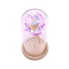 Enchanted Forever Rose Flower Gold Foil Rose Flower LED Light Artificial Flowers In Glass Dome Party Decorations Gift For Girls Y1128