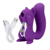 NXY Vibromasseurs Top Vente Multifonctionnel g Spot Sucer et Vibromasseur Écureuil Vibrant Sex Shop Jouet Clitoridien Femme 0104