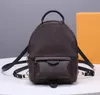 Free shipping Famous designer brand new girl women school bag mini palm springs backpack shoulder bag handbag New zippy