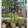 Kraflo Garden Decorationフェンシング柱状フラワースタンドヨーロッパスタイルブドウクレマチスL植物クライミングフレーム