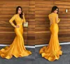 Yellow Lace Mermaid Prom Dresses Sheer Lace V Neck Evening Gowns Formal Party Red Carpet Dresses with Long Sleeves
