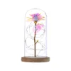 Zaczarowany Forever Rose Flower In Glass Led Light Walentynki Xmas Decoration 201222