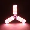 120/180/240LEDS LED Rosną światło Składane LED z pełnym widmem Lampa wzrostu Lampa wzrostu Walorowe światła E27 Hydroponiczne Rośliny Rosnące oświetlenie D2.0