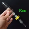 Snelle bezorging! Mini Nectar Collector Glazen Pijpen met 10mm 14mm 18mm Titanium Tip Quartz Tip Booreiland Concentraat Dab stro voor Glazen Waterpijp