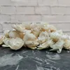 100PCS SOLA الزهور الخشبية زفاف مجموعة متنوعة ل diy crafters، حفلات الزفاف، ديكور المنزل. Z1202.