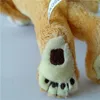 Zabawki dla dzieci Zachęcowa kreskówka Madagascar Lion Plush Toy Creative Plush Toy Dolldren's Holiday Gifts LJ201126