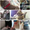 Pet Collar Water Diamond Love Cat Collars Dog Collars With Bells 5 Style de055