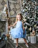 Hellblaues Tutu-Kleid für Blumenmädchen 2022, Neckholder, knielang, Prinzessin, Baby-Festzug-Kleider, bauschig, Erstkommunion, Geburtstag, formelle Partykleidung, ärmellose Schärpe