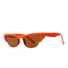 Trendy Colored Half Frame Cat Eye Sunglasses Women Brand High Quality Semi-Rimless Eyeglasses Street Beat Shopping1