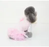 가을과 겨울 개 공주 T200710을위한 레이스 디자인 드레스와 함께 애완 동물 옷 검은 치마