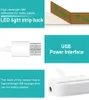 Capteur de mouvement lumière LED bande USB étanche sous armoire bande lumineuse DC 5V PIR lampe à LED ruban LED TV rétro-éclairage éclairage intérieur