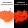 Fluorescent Neon Pigment Eye Shadow 12 ColorsSet Makeup Palette Glitter Shimmer Eyeshadow Face Body Nail Art Cosmetics Tool8463337