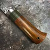 Damascus Nóż Polujący kute Damask Heban Heaster Noże Wysokiej klasy Noże odpowiednie do odkrytych Camping Survival Tools lub Collection