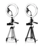 Ring Light 26cm لاستوديو الصور الفوتوغرافية الإضاءة صور حلقة نصفية مع Tripod Stand للهاتف على YouTube Video7600093