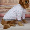 питбульская собака одежда