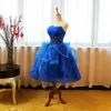 2021 New Sexy Royal Blue Crystal Ball Gown Quinceanera Abiti Applique al ginocchio Sweet 16 Dress Debuttante Prom Party Dress Custom Made 11