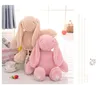 Tecknad Barnens födelsedaggåva ins påsk Plush Bunny Doll Big Ear Toy Wedding Rag