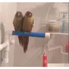 Inne zaopatrzenie ptaków Parrot Bath Prysznica stojąca stojak na stojak na Parrot Papugi i gryzienie pułapki Parakeet Bir Qylvfn BDESPORTS2859