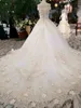 Designer Pretty Off Shoulder Champagne 3D Flowers Cathedral Train Wedding Bridal Gowns Extravagant Blumen Brautkleider Ballkleid Mit