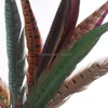 Party Decoration Feathers Craft Supplies for Wedding Bdenet Natural Mountain Cocktail Diy Color 30-35cm Props Materials Jllpic