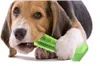 unbekannte generische hund Haustiere zahnbürste kauen spielzeug, putzen zähne putzen stick zahnmedizinische mündliche pflege für aggressive kewers für welpen, mittelhund