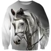 Wolf/Horse/Lion/Clowns Boys Sweatshirt Teens Spring Autumn Pullover For Boys Kids Clothes Children Long Sleeve Pullover Tops LJ201012