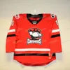 Charlotte Checkers 2024 Queen City Outdoor Hockey Hockey Jersey Cole Schwindt Logan Hutsko Alexander True Kole Lind Zac Dalpe Connor Carrick Fleury Youth