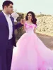 Rosa 3D Flores Princesa Quinceanera Vestidos Corset Tulle Doce 16 Vestidos Long Train Vestido de Debutante Fora do Ombro 15 Anos Meninas Brithday Prom Vestidos