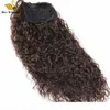 Dark Brown 2 Color Curly Hair Extensions Ponytail Remy Human Hair Drawstring Ponytail with Clips 1030inch Wavy Loose Curly Hair2741754