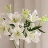 2 PCS Flores Artificiais Lily Sinta-se Real Touch Latex Para Casa Decoração Casacão Cenário Flor Wall Plantas Falas Lilies