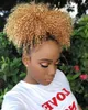 Chrismatis Honey Blonde Kinky Curly Ponytail Virgin Human Hair Exting Clipstring Clip In Brazylijski Blond Pony Ogon Okładki Słajnia 120g