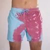 Men's Shorts Summer Color-changing Beach Men Swimming Trunks Man Swimsuits Quick Dry Bathing Pant Surfing Board1