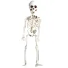 Decoratie Full Life Size Body Poseable Hangend Kunstmatig Menselijk Skelet Ambachten Horror Spookhuis Home Party Prop Halloween Y2189L