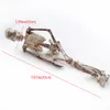 1PCS Aquarium Human Skeleton Resin Fish Tank Skel Skelet Resin Ornament Reptile Tank Fish Tank Aquarium Decoratie C1115303Y9867744