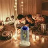 2021 Led Enchanted Galaxy Rose Eternal Foil Flower With Fairy String Lights In Dome For Christmas Valentine's Day Gift Navidad