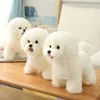 Högkvalitativ simulering Bichon Frise Dog Plush Toy Fylld Korea LifeLike Pomeranian Dog Puppy Leksaker Heminredning Barn Brithday LJ201126