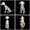 Halloween Skeleton Dog Prop Animal Bones Party Shop Decoration Horror Skull Props Y201006