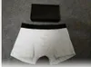 Hommes marque Sexy sans couture sous-vêtements Cueca Boxer hommes coton hommes Shorts Boxer Homme poche boxeurs Underware grand