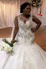 2020 Plus Size Arapça Aso Ebi Pırıltılı Lüks Deniz Kızı Gelinlik Boncuklu Kristaller Gelin Elbise Dantel Vintage Gelinlikler ZJ504