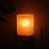 Exquisite Cylinder Natural Rock Salt Himalaya Salt Lamp Air Purifier with Wood Base Amber Night Lights