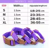 Pet Dog Collar Classic Solid Basic Polyester Nylon Dog Collar With Quick Snap Buckle Valfri krage Pull Rope5379823