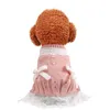 Vêtements pour chiens Chat Tricoté Pull Robe Bows Design Jumper Chiot À Capuche Manteau Hiver Vêtements Chauds Vêtements1