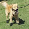 Sapatos reflexivos para cães, meias de inverno, botas para cães, calçados de chuva, antiderrapantes, resistentes ao desgaste, sapatos para animais de estimação para cães médios e grandes 2206q