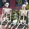 Máxima fornecedor 1 PCS Halloween Prop Skeleton Humano Crânio Full Life Life Body Anatomy Model Decorações para Halloween D3 201028