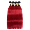 Estensioni dei capelli umani rossi colorati 1B di alta qualità Ombre vergini malesi diritte seriche tesse fasci economici di ombre rosse bicolore De6250240