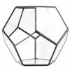Black Glass Pentagon Geometric Terrarium Container Window Sill Decor Flower Pot Balcony Planter Diy Display Box Y200723261R