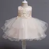 New children's dress princess flower girl wedding dress fluffy one year old trade