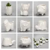 Yefine Creative Ceramic Flowerpot Planter Bonsai Garden Pots Jarders Jardin Bonsai Desk Succulent Flower Pot mignon Animal Pots Y205840537