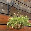 Wiszący koszyk dla roślin ogród kwiat sadzarka z łańcuchem Pot Home Balkon Dekoracji 2 Sztuk-8 cali Y200723