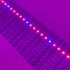 DC12V 1M LED Strip Bar Light 5050 60LED / M Full spektrum växer för växttillväxtlampa